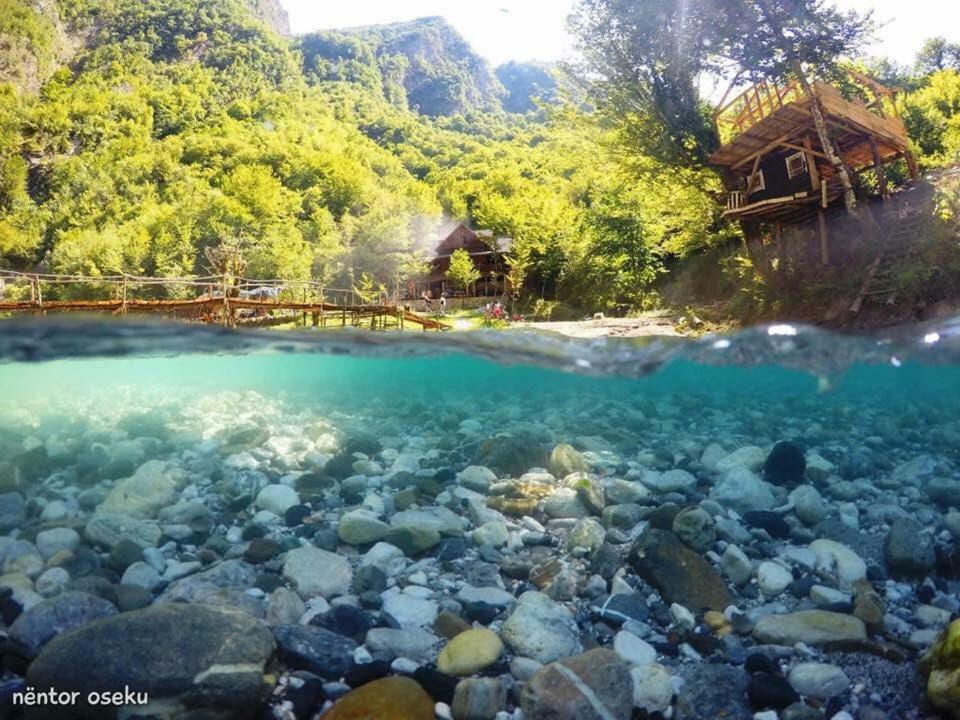 Park Blini Shala River Moll' e Shoshit Exteriör bild
